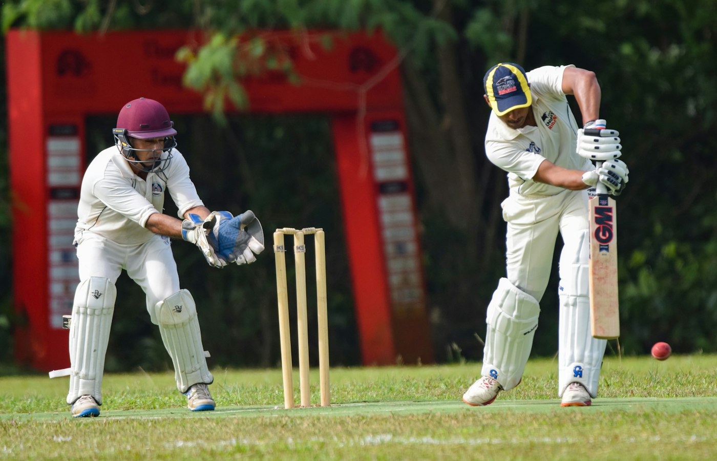 Cricket